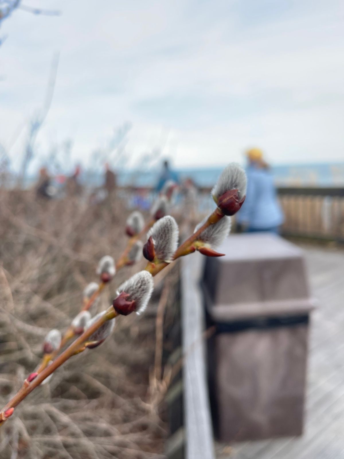 1000 Hours Outside: Signs of Spring Walk at Patterson Park