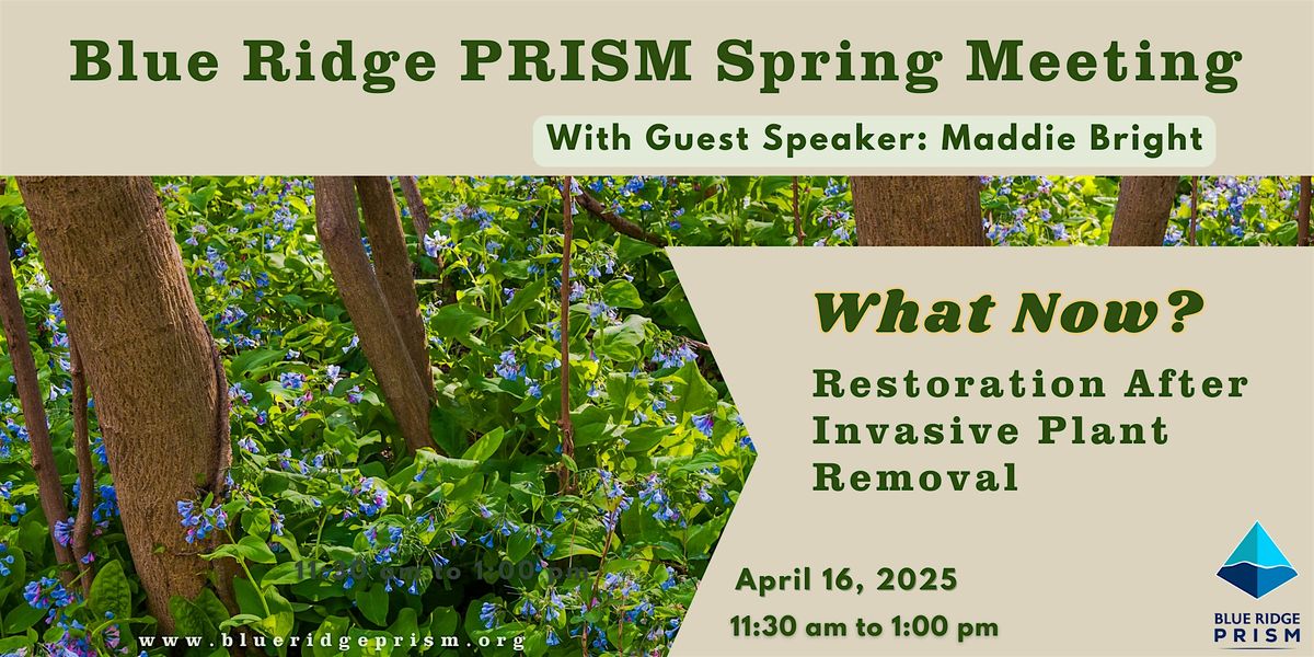 Spring Meeting:  Restoration After Invasive Plant Removal