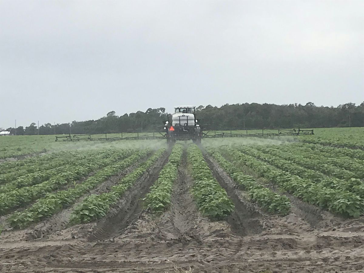 Ag Row and Ornamental\/Turf Pesticide Review and Exam
