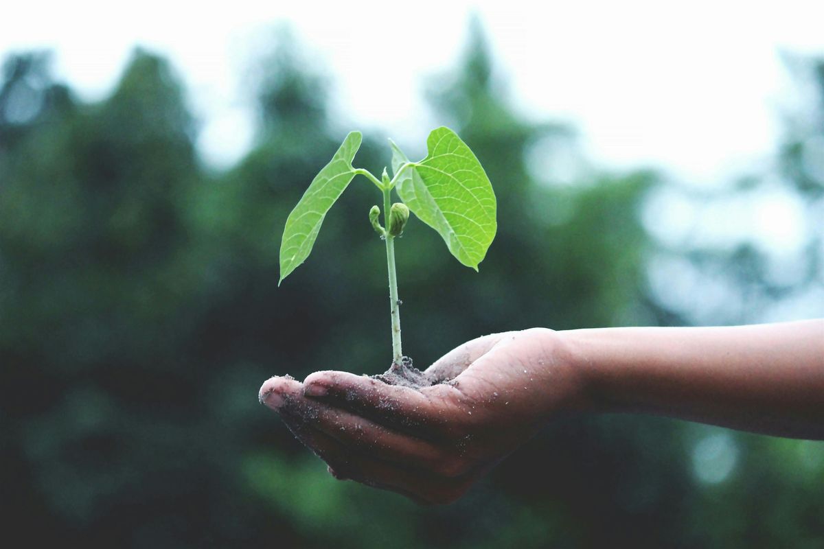 Agribusiness Networking Event - Agri Futures