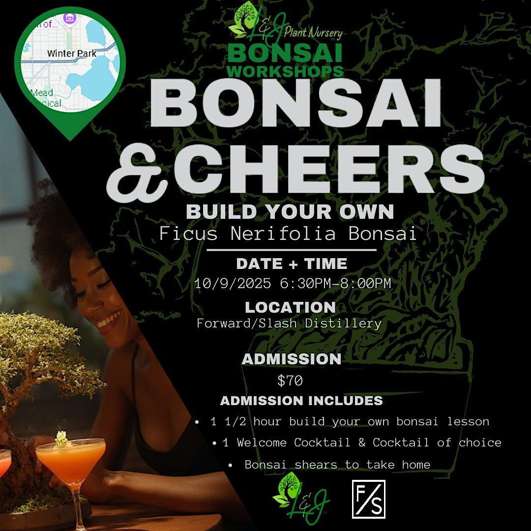 Bonsai & Cheers -Forward\/Slash - L&J Nursery - Ficus Nerifolia Bonsai