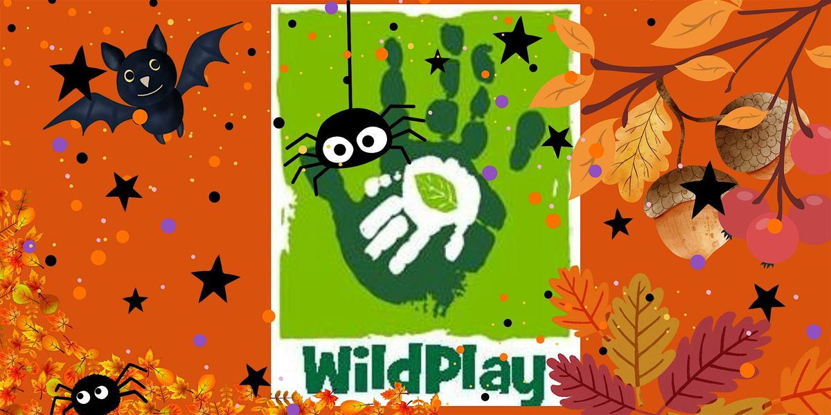 Spooky WildPlay at Hereford Library