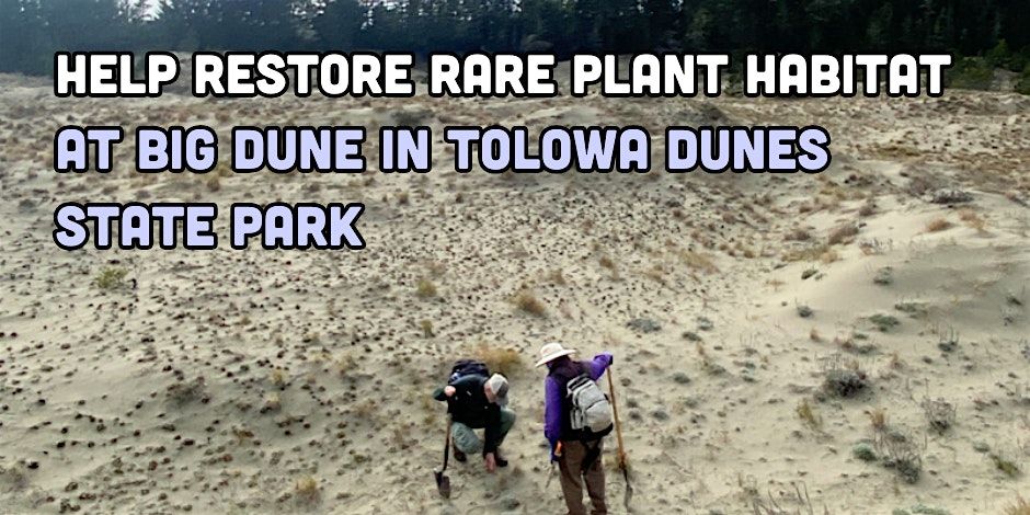 Help restore Big Dune in Tolowa State Park!