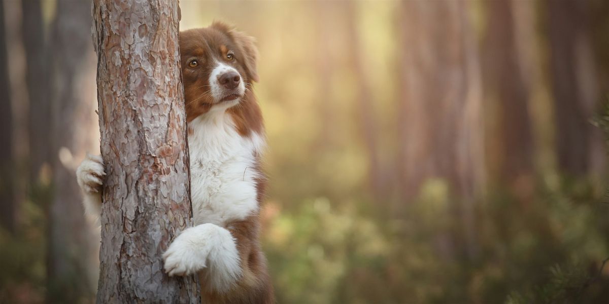 Tails on Trails at DeVeaux Woods