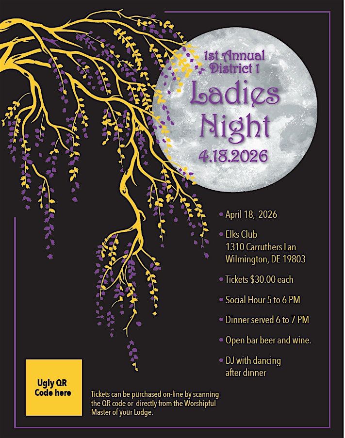 District 1 Ladies Night