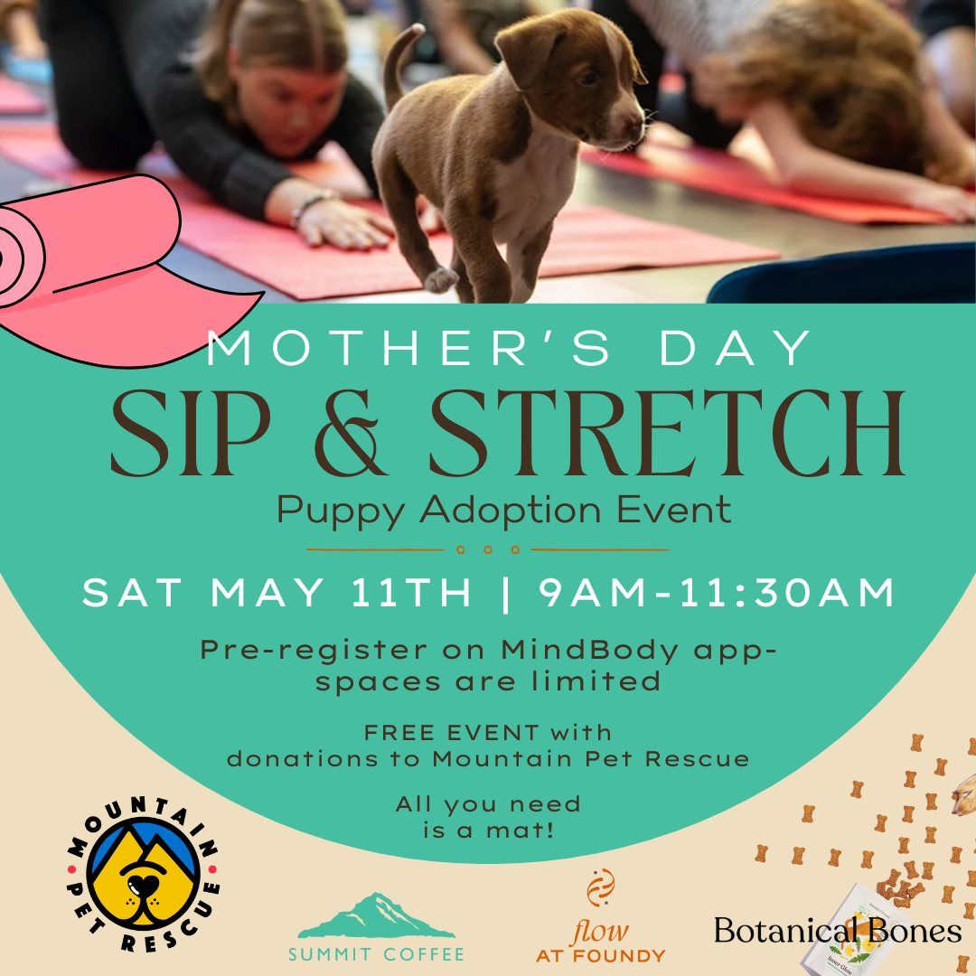Puppy Yoga & Adoptions at Flow