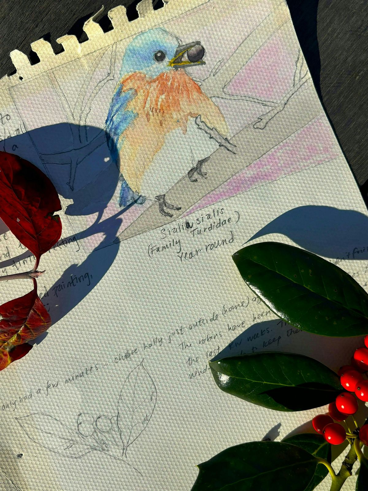 Introduction to Nature Journaling