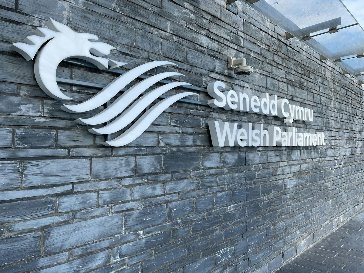 Senedd 2.0: Making the most of a changing Parliament