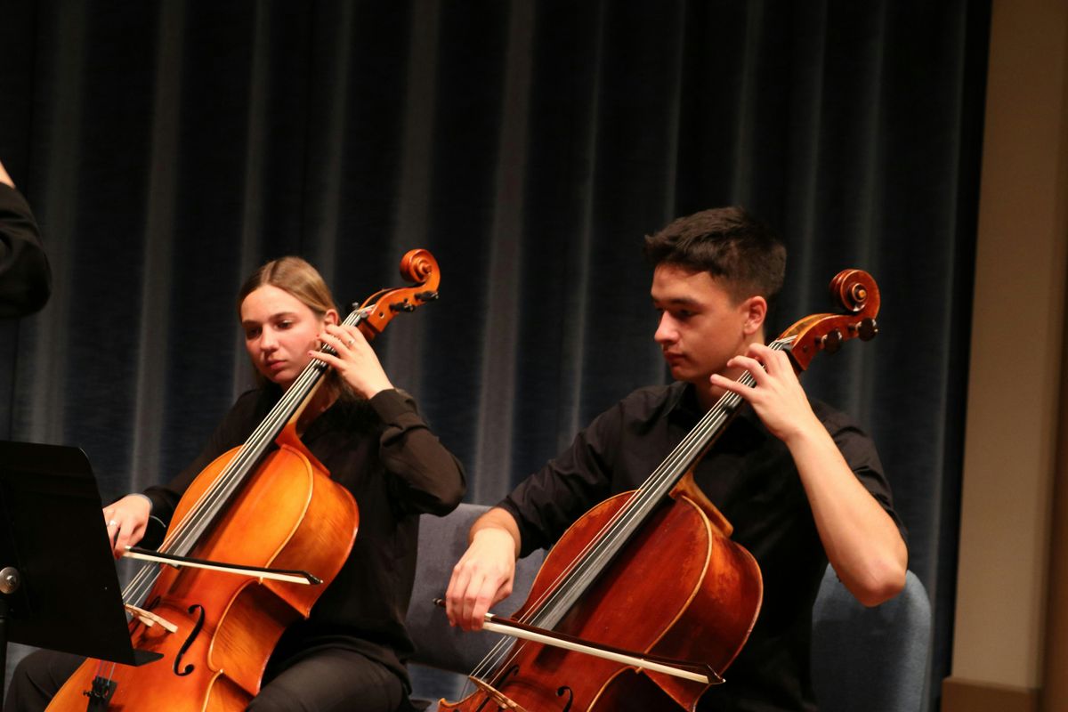 Spring Salon | USD Strings