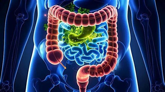 Copy of Chicago SGNA Spring int GI