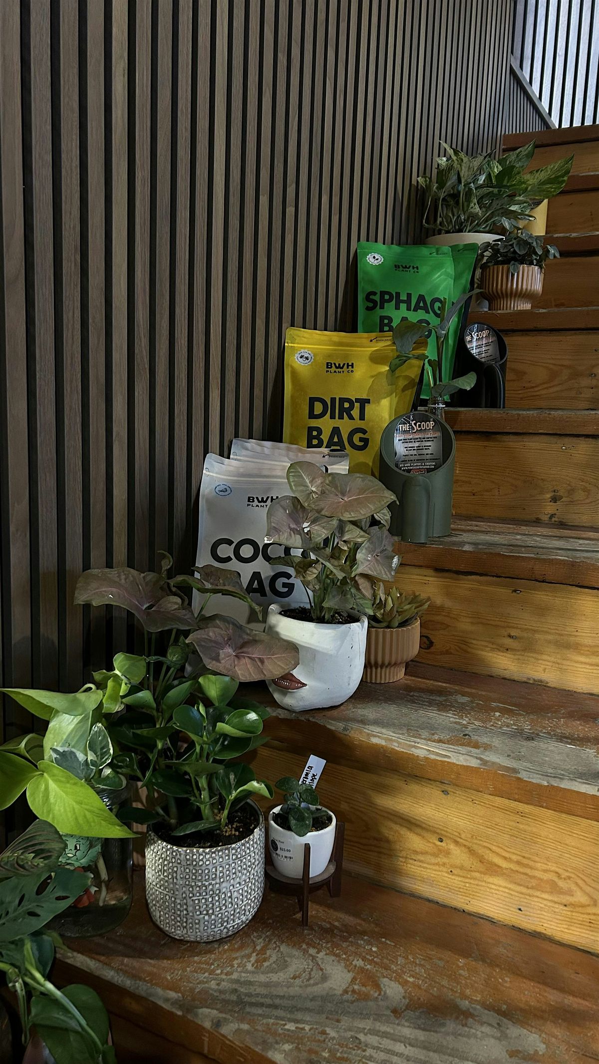 Plant Propagation 101
