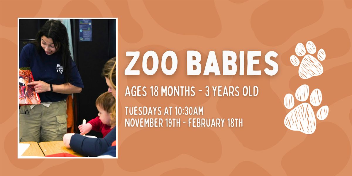 2\/4 Zoo Babies: Animal Families