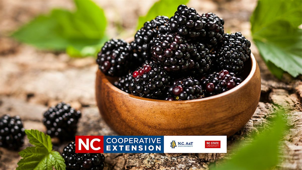 Berry Best Practices for Home Blackberries