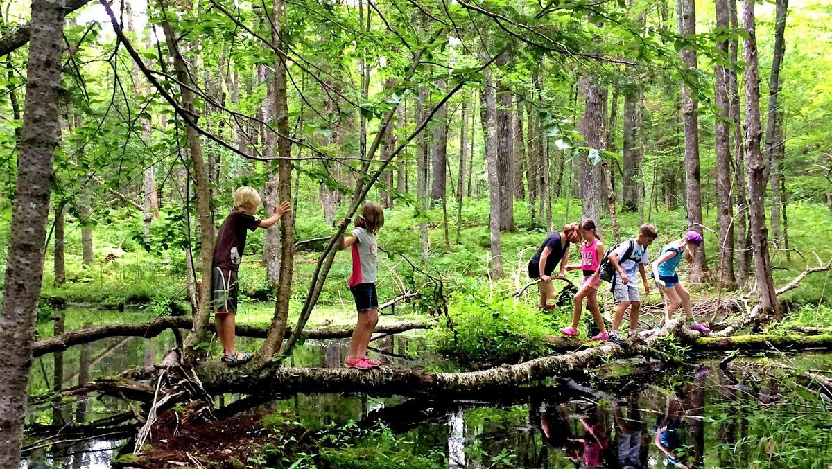 Heart and Soul Junior Rangers Nature Camp