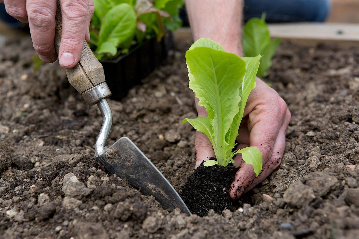 Beginner Garden Workshop with Farmer Jeff 2\/22