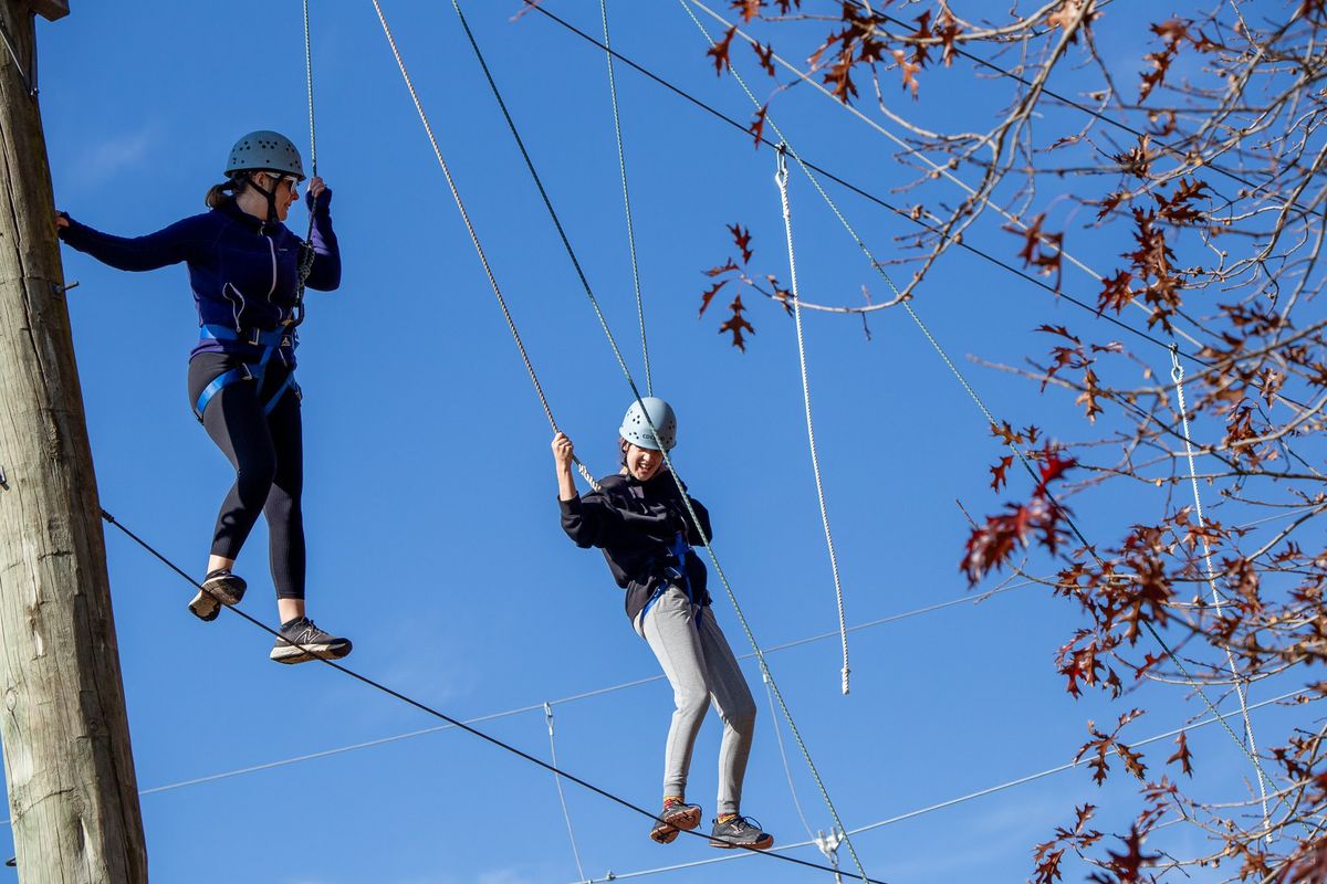 The Great Kiwi Summer  Festival - High Ropes Experience