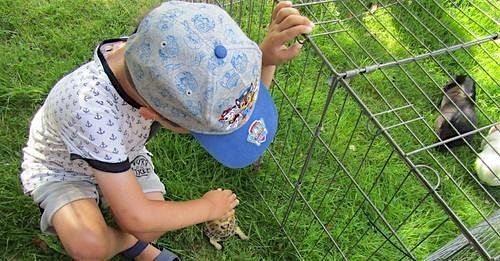 Schools Out Easter Holiday Club. For ages 5 - 12