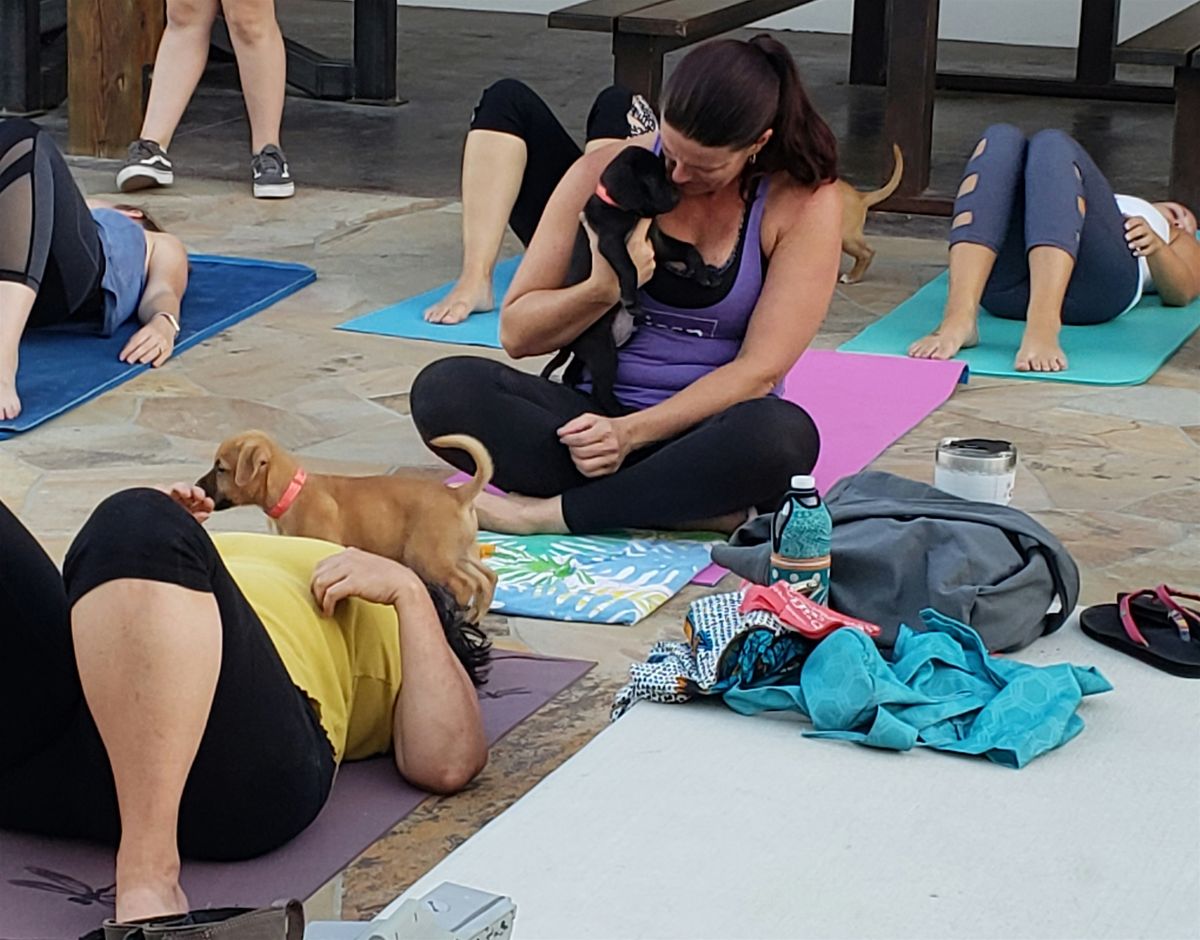 Doggy Noses & Yoga Poses at Sparta Athletic Campus!