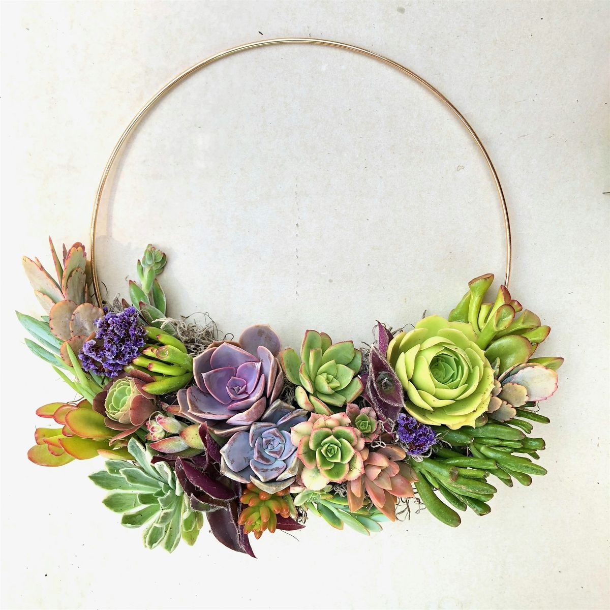 Succulent Wreath Class