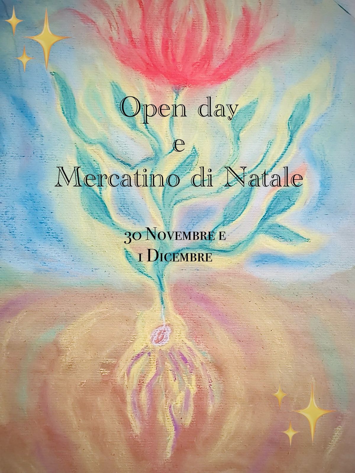 Mercatino di Natale e Open day! 