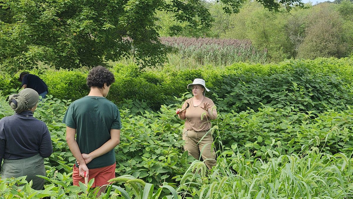 Conservation Corps: Invasive Plant Training Series