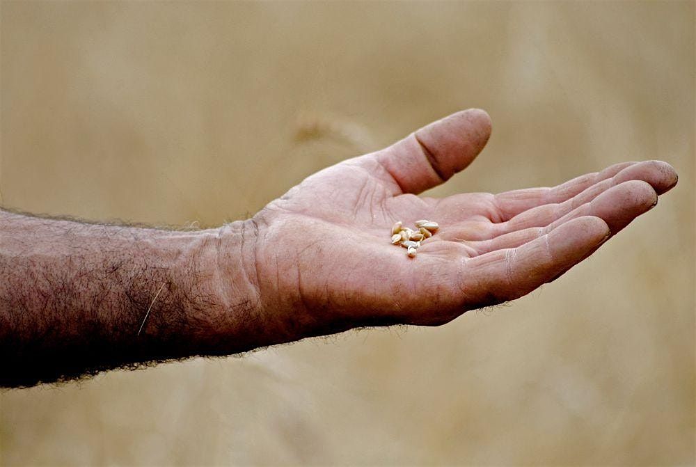 Slow Food Week Milano- Il ciclo dell'acqua nell'agricoltura Lombarda