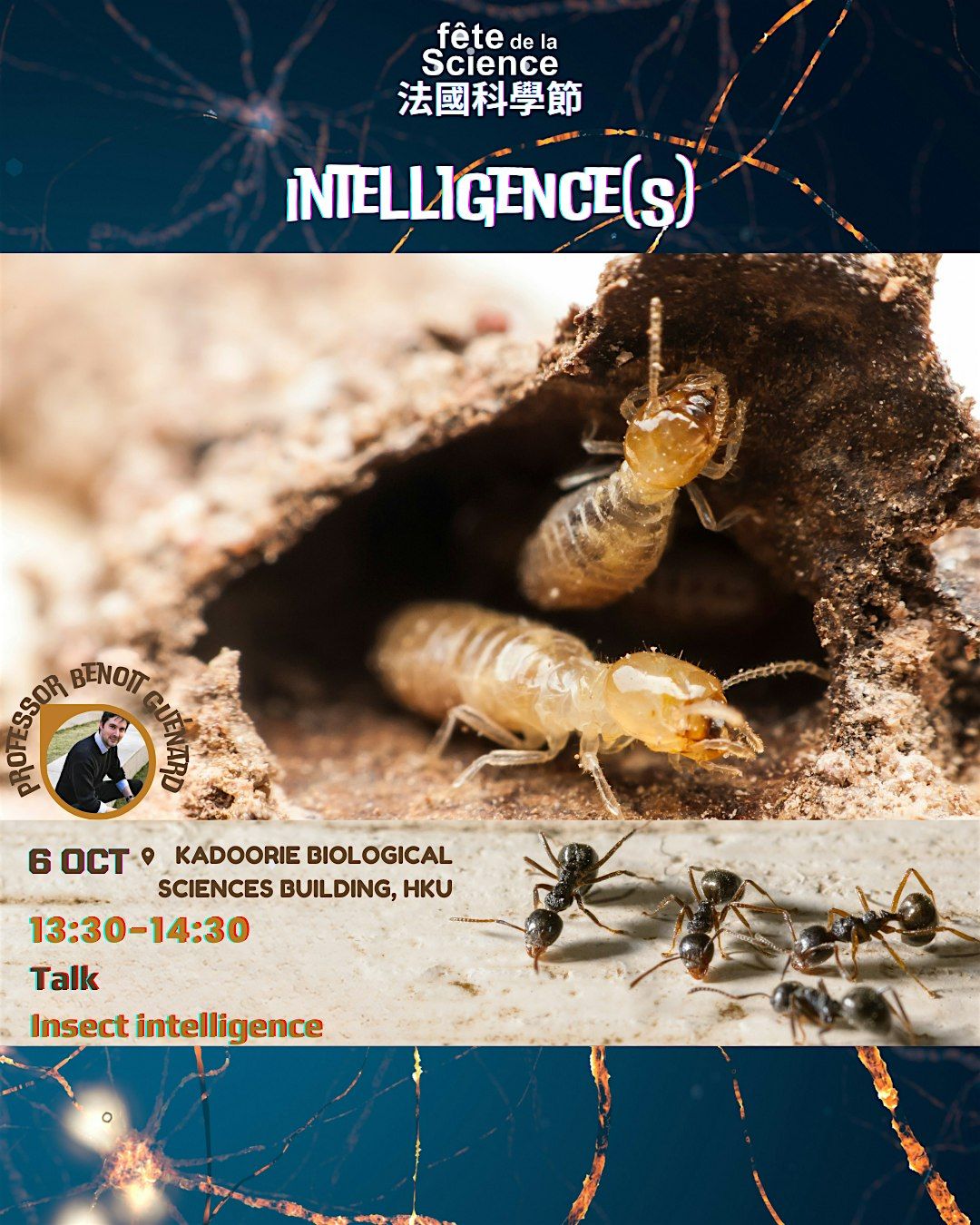 \u2018Insect Intelligence\u2019 by Professor Benoit Gu\u00e9nard - HKU