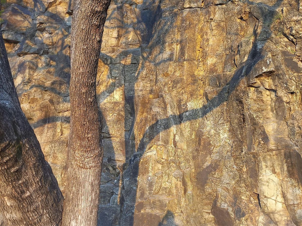 A Wild Deepening: Using Repetition in Poetry