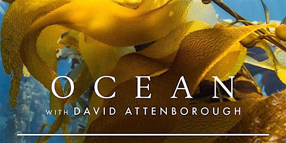 Ocean with David Attenborough: Community Screening (Bangor, Cymru)