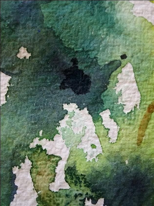 Beginning Watercolor Class - Saturday November 15, 2025