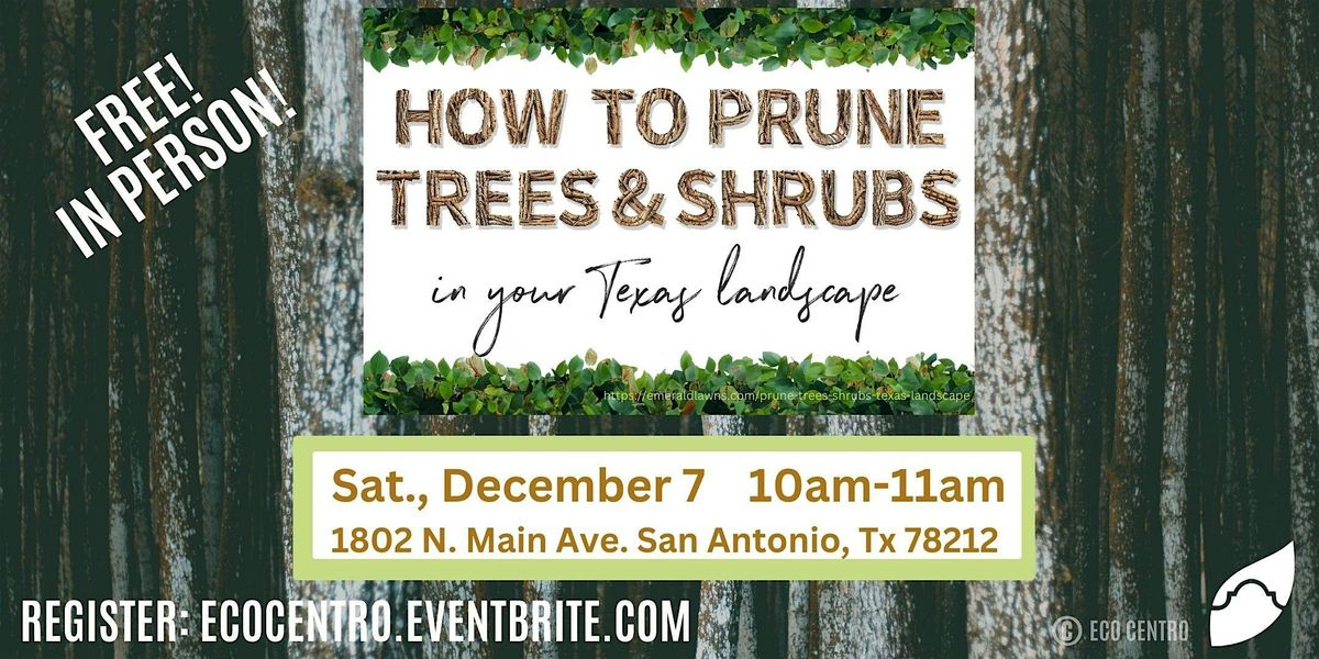 How to Prune Trees and Shrubs in your Texas Landscape by Eco Centro