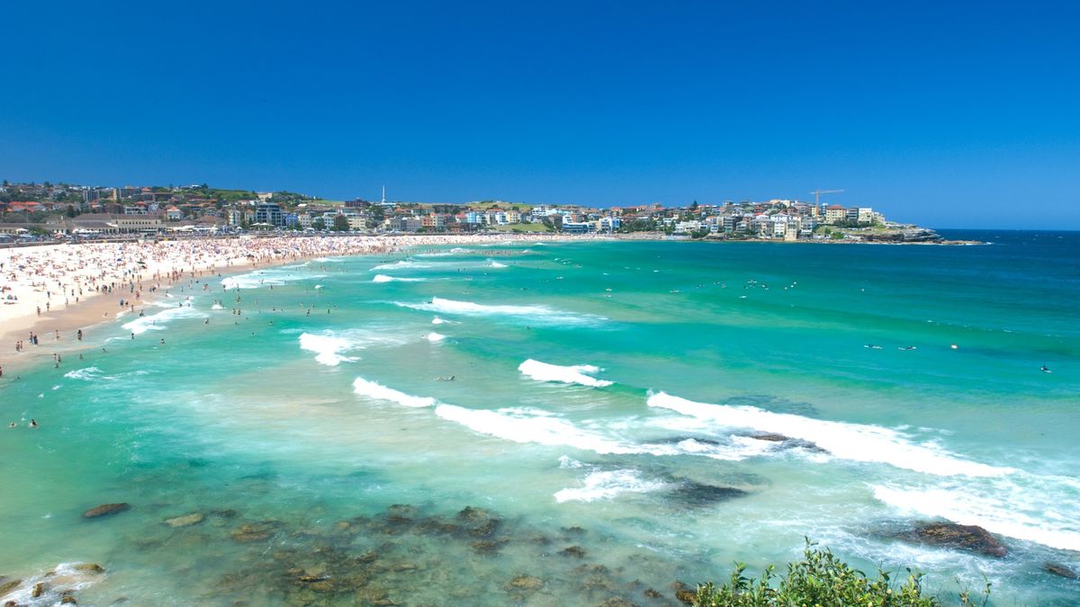 Bondi Mindfulness Based Stress Reduction Course