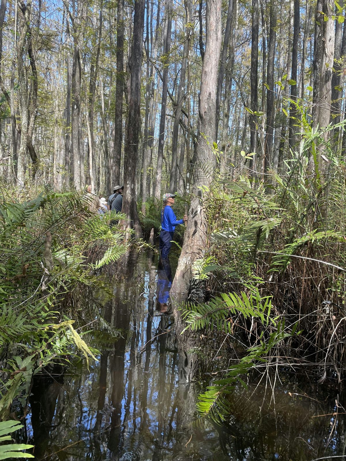 Wet Walk "The Importance of Outdoor Environmental Education"