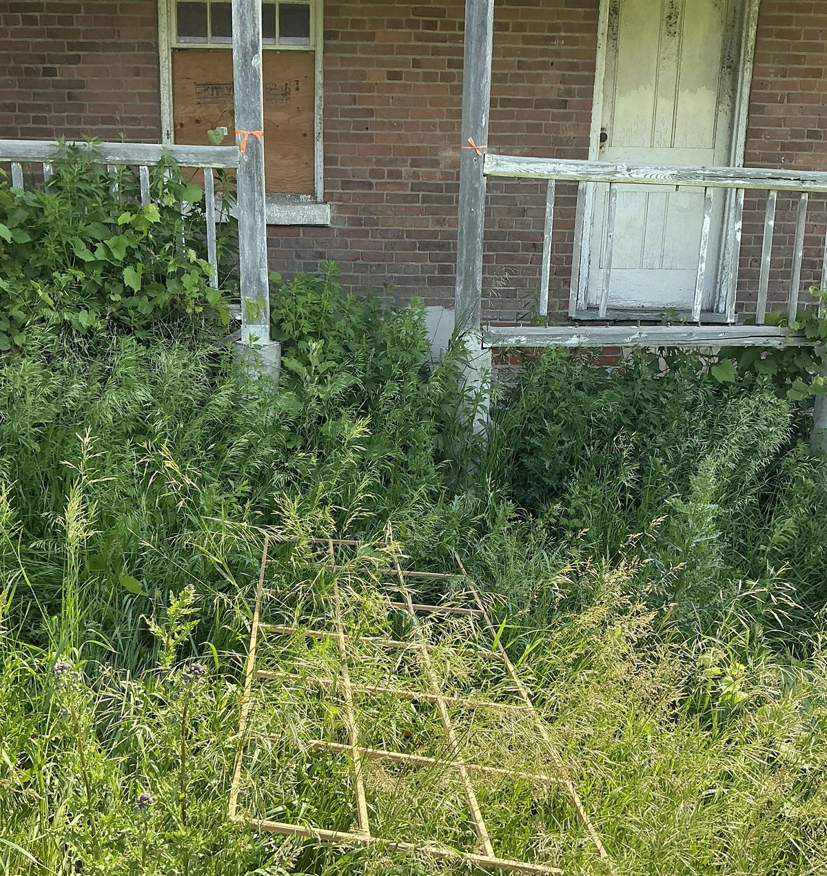 Art Bus Excursion: Plant Signals with Lisa Myers