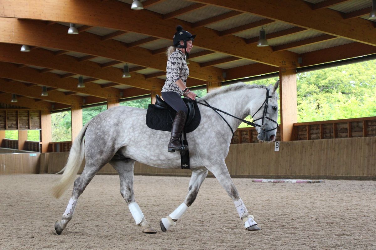 Dressage Clinic with Gary Foggon Sat 7th December