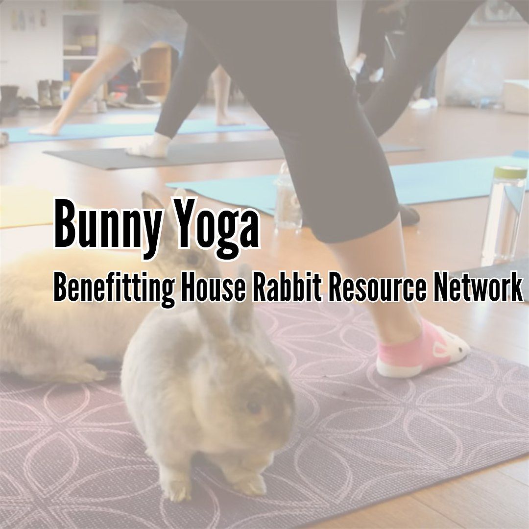 Bunny Yoga Benefiting House Rabbit Resource Network