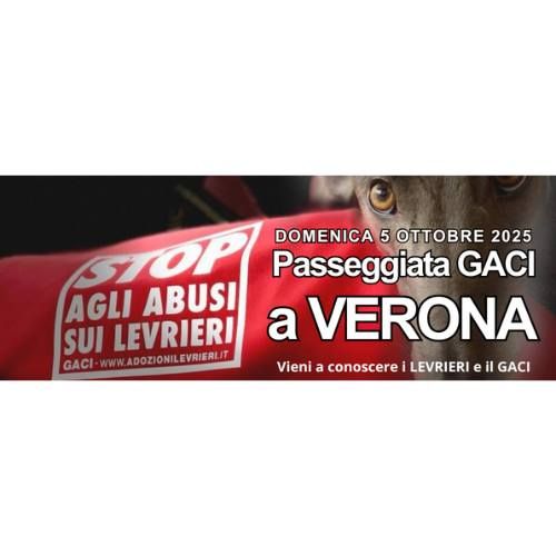 Passeggiata GACI a VERONA