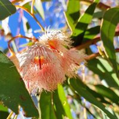 Central Victoria Planet Minders