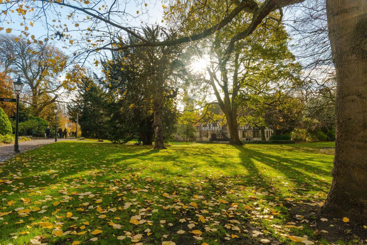 Curious and Creative Gardening Tour: Wildlife Friendly Museum Gardens