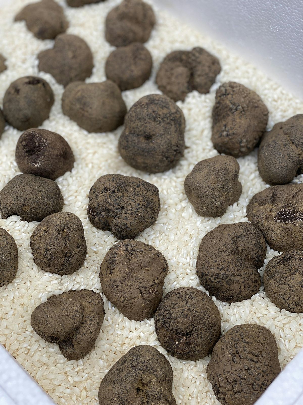 Classic Class: Truffle 101\u2014$75