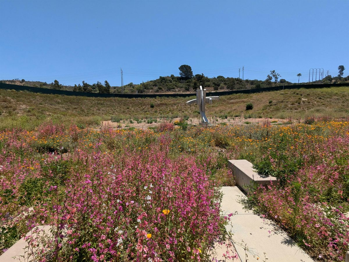Microforest Day: Ethnobotany Talk & Making a Mini-Forest Screening