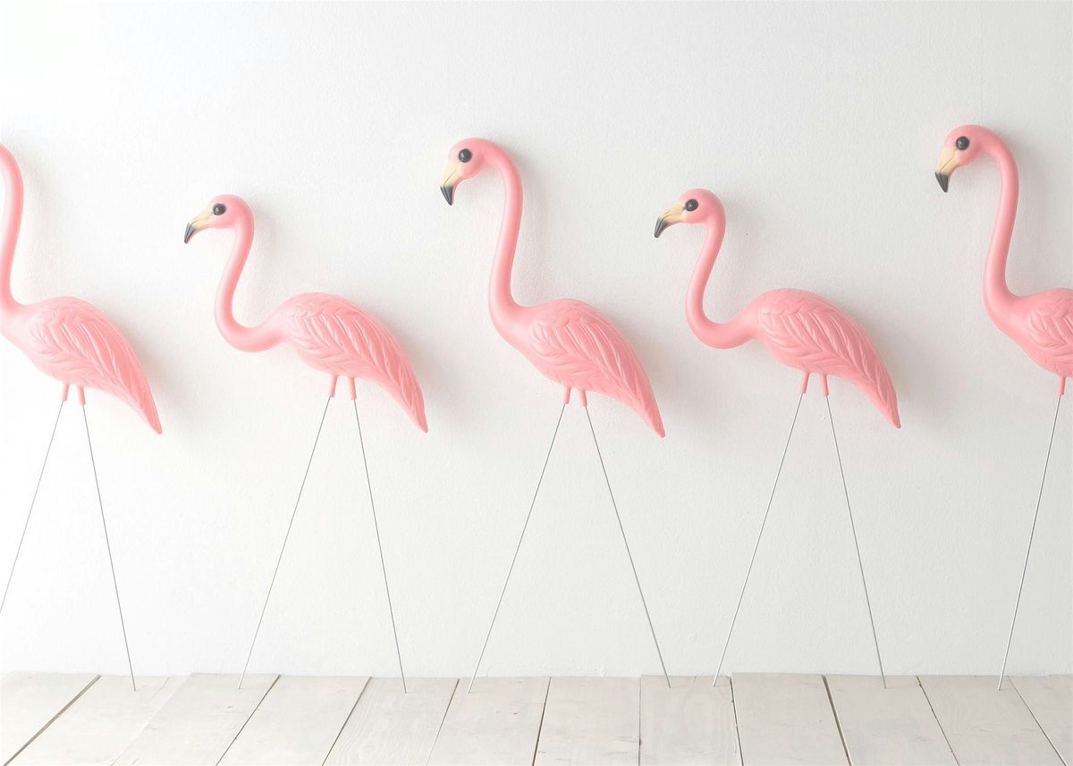 Follow the Flock - Paint and Sip