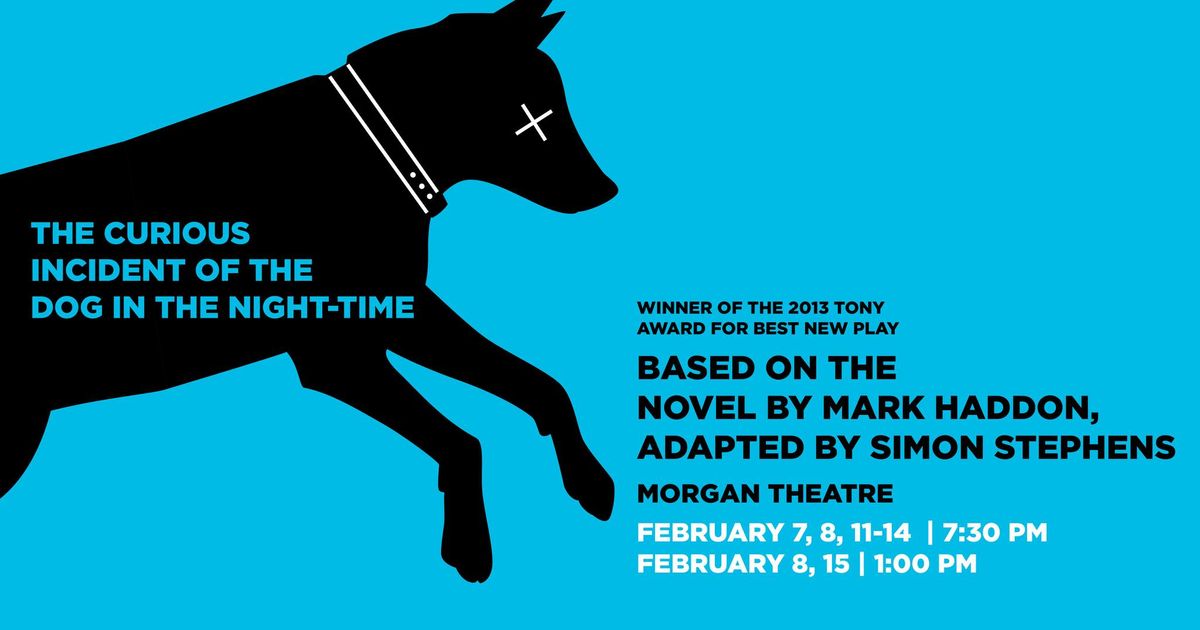 The Curious Incident of the Dog in the Night-Time