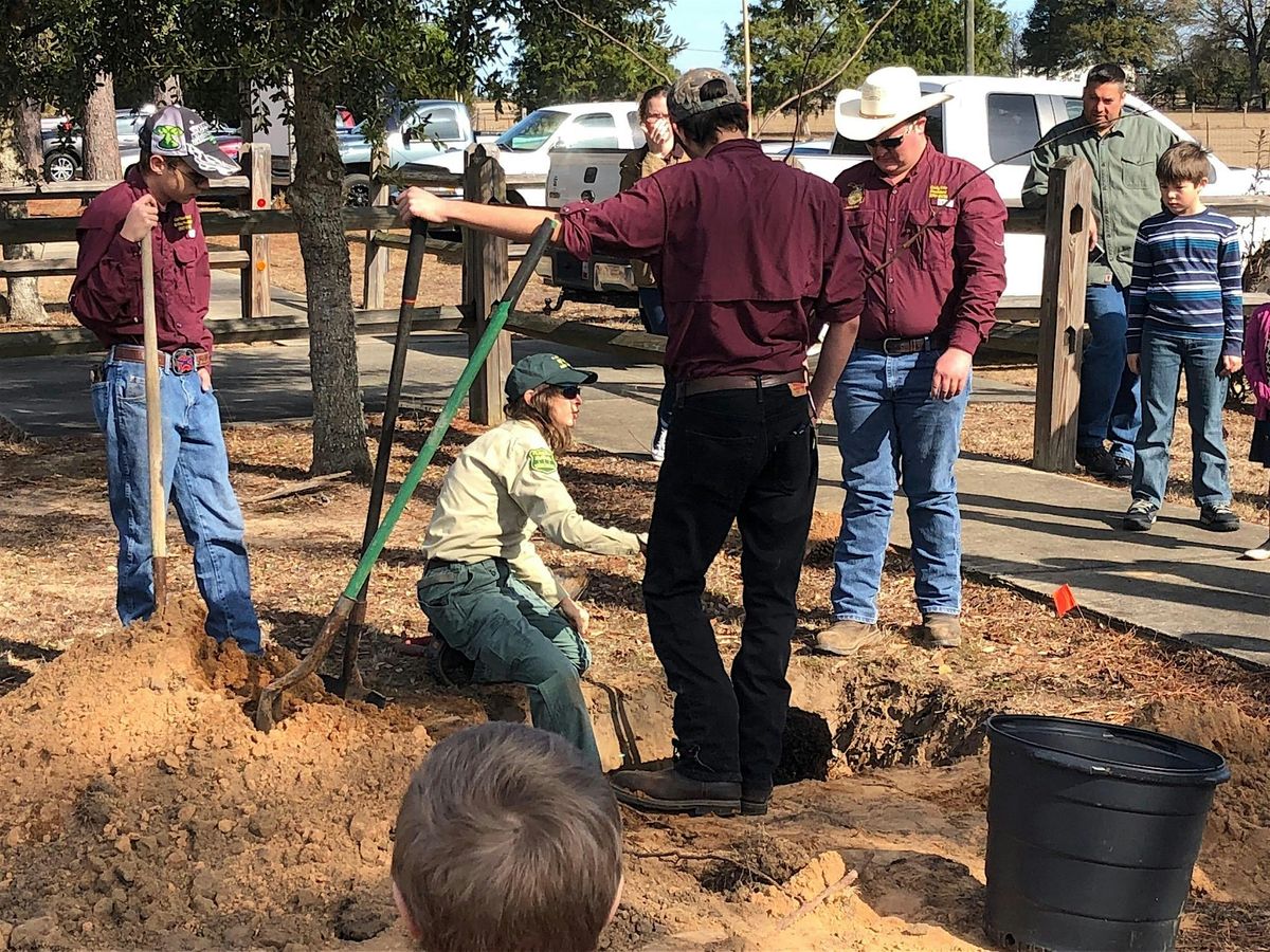1-10-2026  Selecting & Planting Trees: Right Plant, Right Place