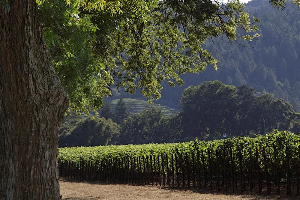 2025 Schrader Cellars Wine Dinner at Haven