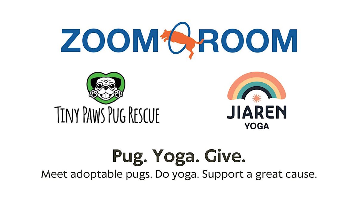 Dog Yoga with Tiny Paws Pug Rescue at Zoom Room Santa Clara