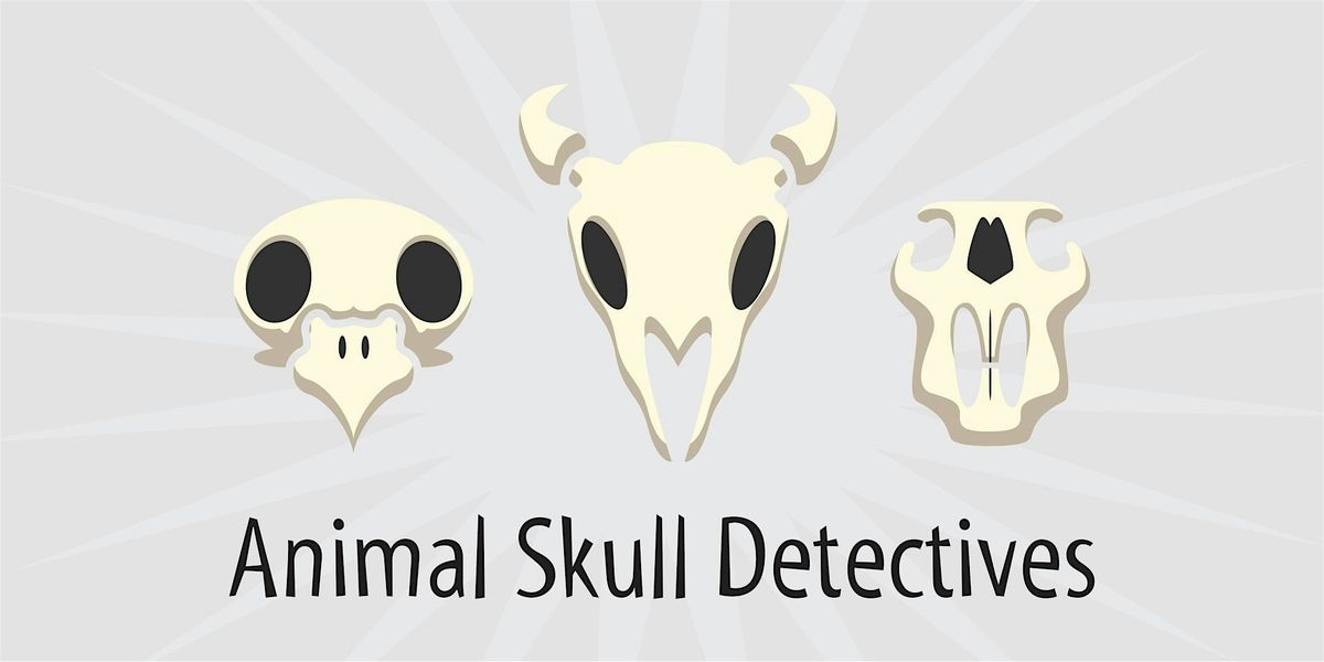 Animal Skull Detectives -  9 am -  Grades 3 & 4