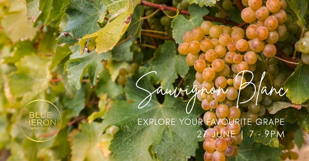 Sauvignon Blanc : Explore your favourite grape