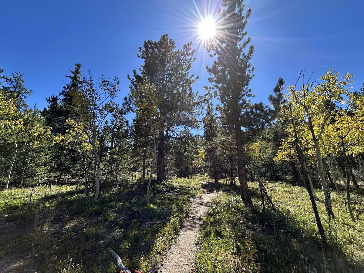 Women's Backpacking 101: Overnight Adventure