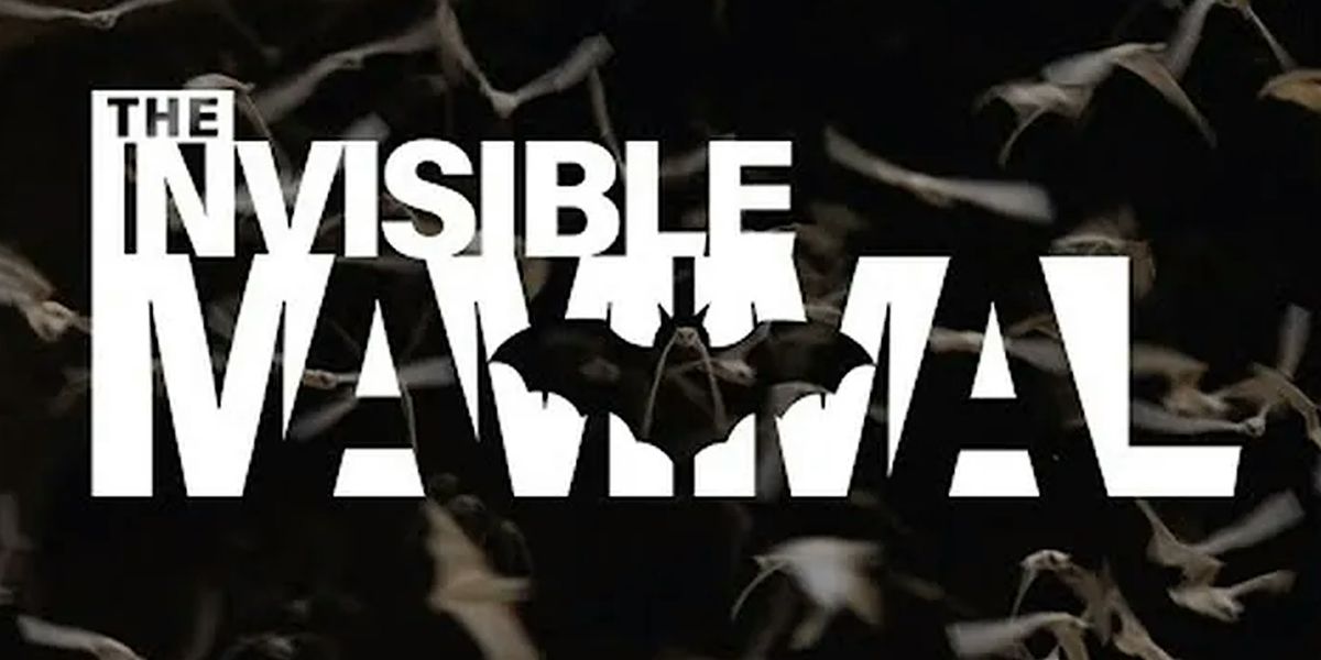 The Invisible Mammal Film Screening